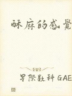 酥麻的感觉小说