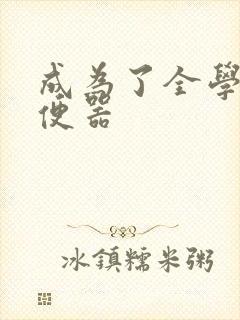 成为了全学校坐便器