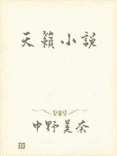 天籁小说
