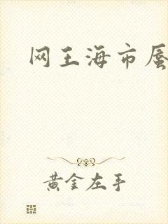 网王海市蜃楼