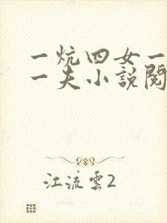 一炕四女一共侍一夫小说阅读