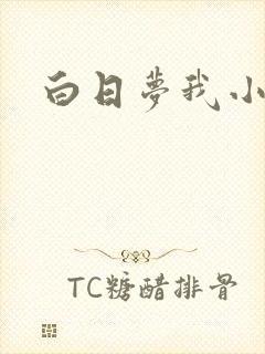白日梦我小说