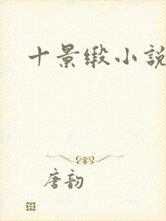 十景缎小说