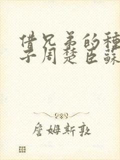 借兄弟的种生孩子周楚臣苏糖