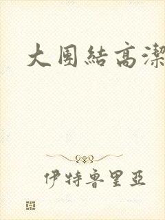 大团结高洁