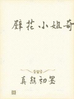 壁花小姐奇遇记