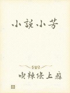 小说小芳