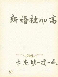 新婚被np高h