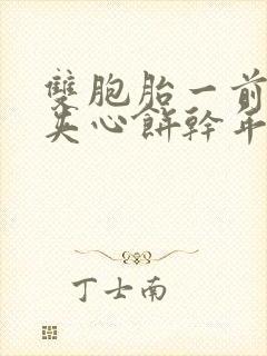 双胞胎一前一后夹心饼干年下