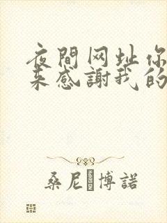 夜间网址你会回来感谢我的