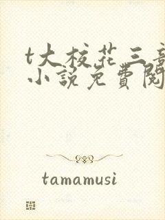 t大校花三部曲小说免费阅读全文