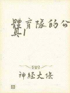 体育队的公用玩具1