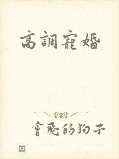 高调宠婚