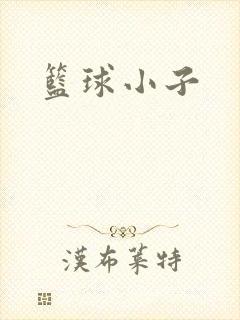 篮球小子