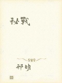 秘战