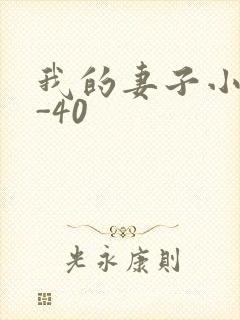 我的妻子小谨1-40