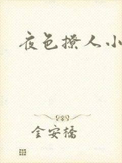 夜色撩人小说