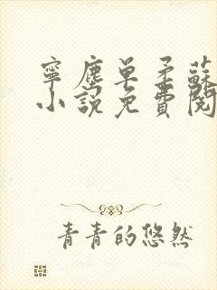 宁尘单柔苏千雪小说免费阅读最新