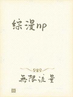 综漫np