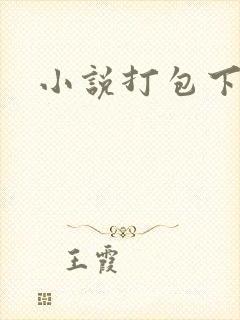 小说打包下载