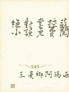 绝对掌控苏绵绵小说免费阅读全文