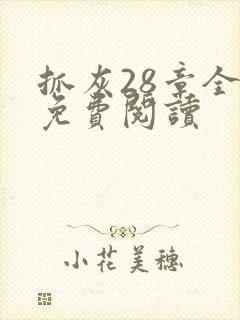 抓灰28章全部免费阅读