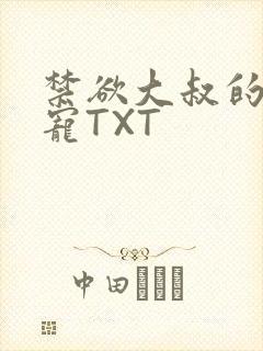 禁欲大叔的心尖宠TXT