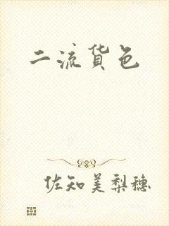 二流货色