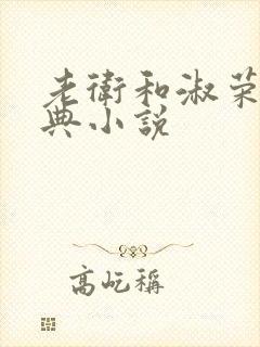 老卫和淑荣的经典小说