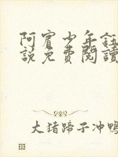 阿宾少年钰慧小说免费阅读笔趣阁