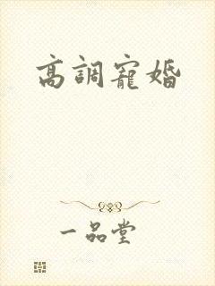高调宠婚