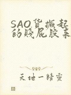 SAO货撅起你的贱屁股来