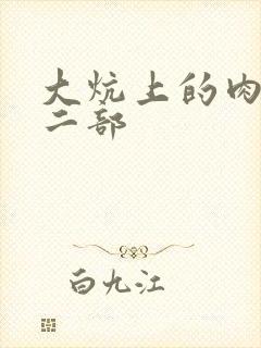 大炕上的肉伦第二部