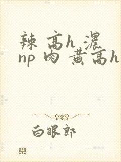 辣 高h 浓 np 肉 黄高h