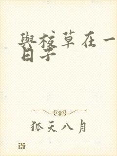 与校草在一起的日子