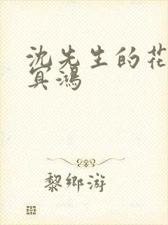 沈先生的花式调冥鸿