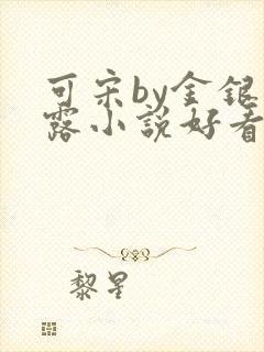 可宋by金银花露小说好看吗