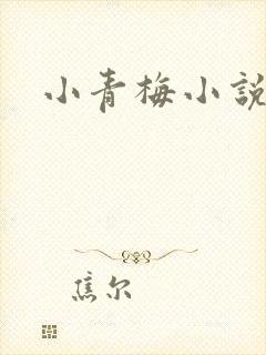 小青梅小说