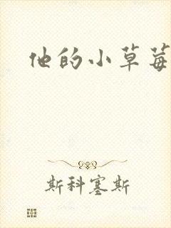 他的小草莓