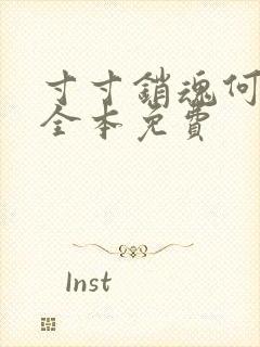 寸寸销魂何生祥全本免费