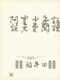 阿宾少年钰慧小说免费阅读笔趣阁