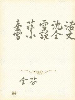 秦菲雪沈浩秦菲雪小说全文免费阅读求书