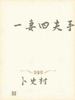 一妻四夫手记