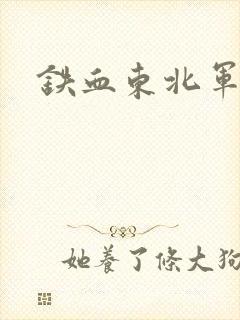铁血东北军