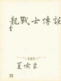龙战士传说txt