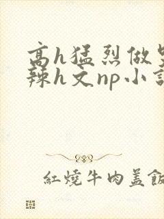 高h猛烈做哭高辣h文np小说