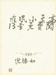 催眠小柔高达第13章免费阅读