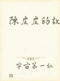 陈皮皮的故事