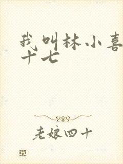 我叫林小喜今年十七