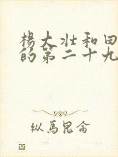 杨大壮和田桂花的第二十九